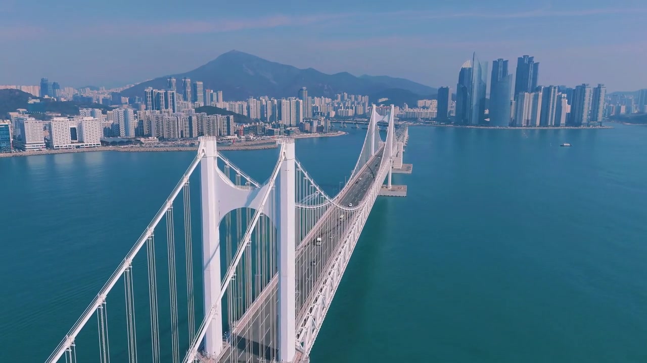 Penang city skyline and bridge